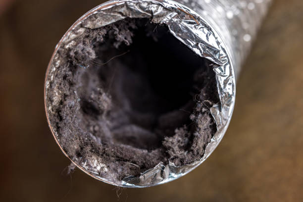 Air Duct Mold Removal in Langhorne Manor, PA