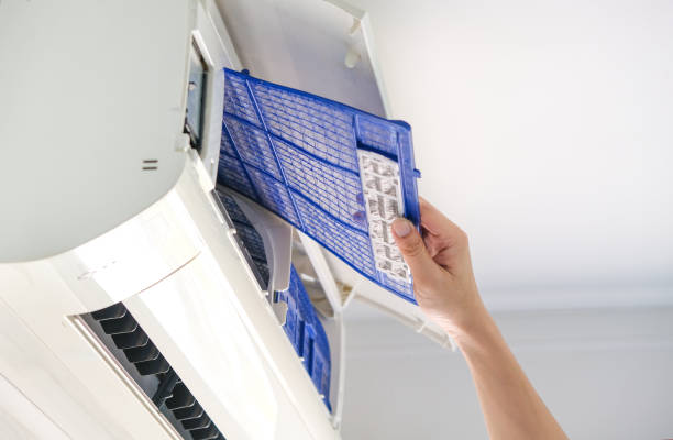 Best Air Duct Mold Removal  in Langhorne Manor, PA